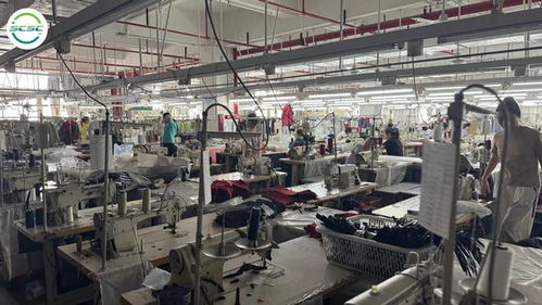 智慧行定制化咨询 企业GSS验厂无忧，高效拿证拓市场